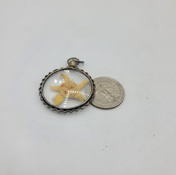 Vintage Lucite Starfish Pendant Domed Encased Specimen Silver Tone 1970s - Picture 9 of 9
